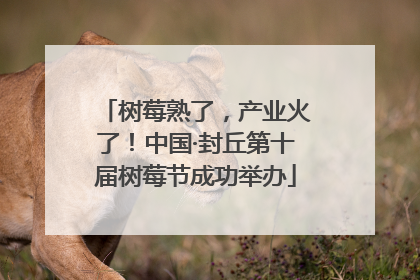 树莓熟了，产业火了！中国·封丘第十届树莓节成功举办