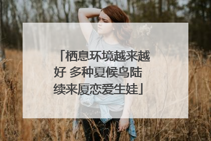 栖息环境越来越好 多种夏候鸟陆续来厦恋爱生娃