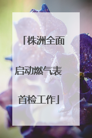 株洲全面启动燃气表首检工作