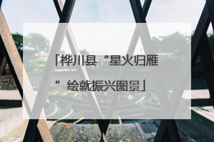 桦川县“星火归雁”绘就振兴图景