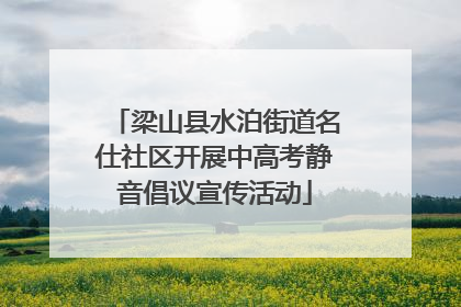梁山县水泊街道名仕社区开展中高考静音倡议宣传活动