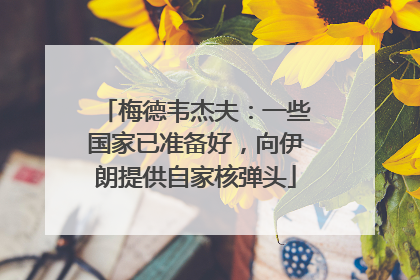 梅德韦杰夫：一些国家已准备好，向伊朗提供自家核弹头