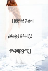 欧盟为何越来越生以色列的气