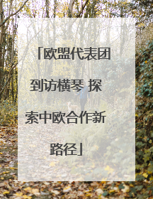 欧盟代表团到访横琴 探索中欧合作新路径