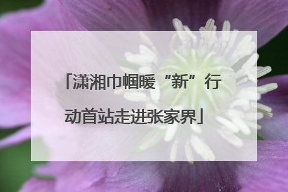 潇湘巾帼暖“新”行动首站走进张家界