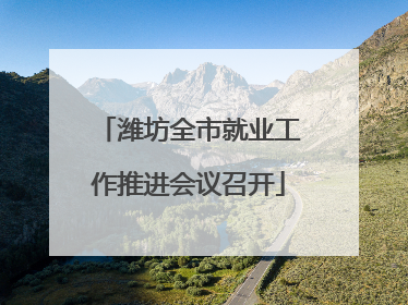 潍坊全市就业工作推进会议召开