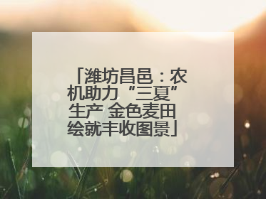 潍坊昌邑：农机助力“三夏”生产 金色麦田绘就丰收图景