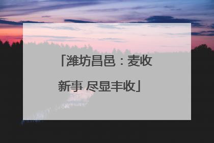 潍坊昌邑：麦收新事 尽显丰收