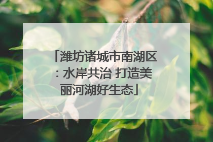 潍坊诸城市南湖区：水岸共治 打造美丽河湖好生态