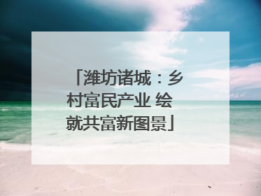潍坊诸城：乡村富民产业 绘就共富新图景
