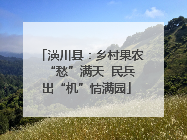 潢川县：乡村果农“愁”满天  民兵出“机”情满园