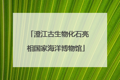澄江古生物化石亮相国家海洋博物馆