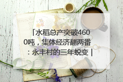 水稻总产突破4600吨，集体经济翻两番：永丰村的三年蜕变｜您牵挂的四川