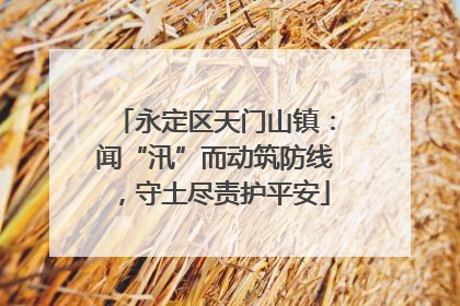 永定区天门山镇：闻“汛”而动筑防线，守土尽责护平安
