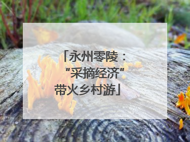 永州零陵：“采摘经济”带火乡村游
