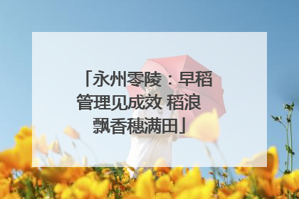 永州零陵：早稻管理见成效 稻浪飘香穗满田