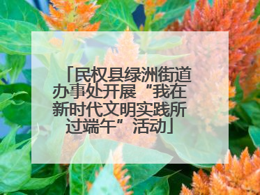 民权县绿洲街道办事处开展“我在新时代文明实践所过端午”活动
