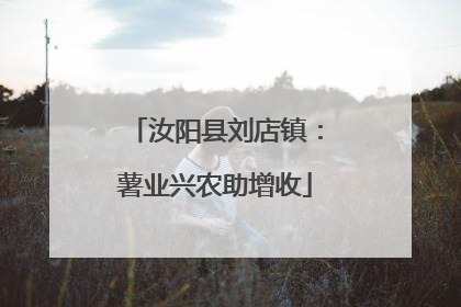 汝阳县刘店镇：薯业兴农助增收