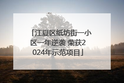 江夏区纸坊街一小区一年逆袭 荣获2024年示范项目