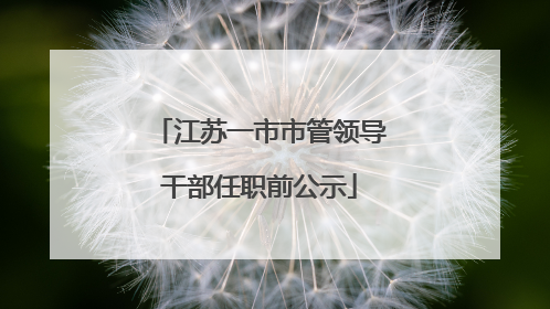 江苏一市市管领导干部任职前公示