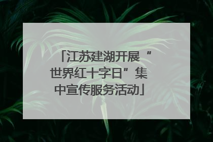 江苏建湖开展“世界红十字日”集中宣传服务活动