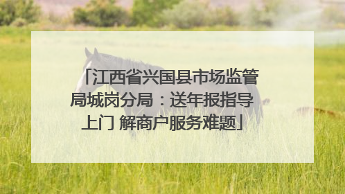 江西省兴国县市场监管局城岗分局：送年报指导上门 解商户服务难题