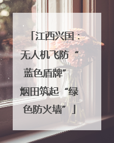 江西兴国：无人机飞防“蓝色盾牌” 烟田筑起“绿色防火墙”