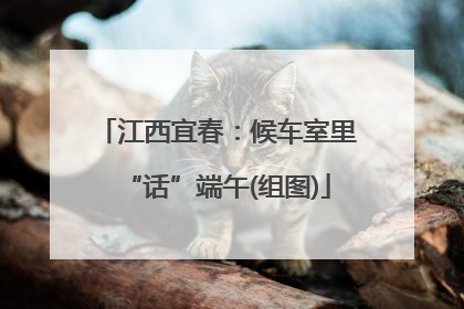 江西宜春：候车室里“话”端午(组图)