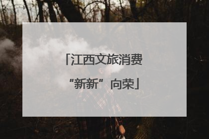 江西文旅消费“新新”向荣