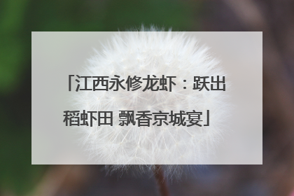 江西永修龙虾：跃出稻虾田 飘香京城宴