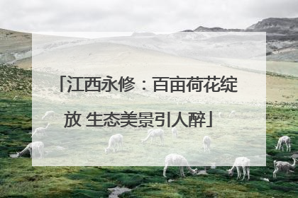 江西永修：百亩荷花绽放 生态美景引人醉