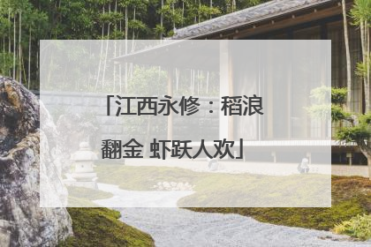江西永修：稻浪翻金 虾跃人欢