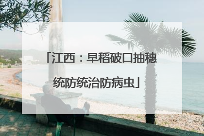 江西：早稻破口抽穗 统防统治防病虫