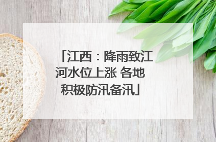 江西：降雨致江河水位上涨 各地积极防汛备汛