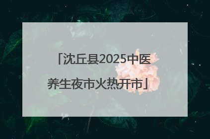 沈丘县2025中医养生夜市火热开市