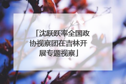 沈跃跃率全国政协视察团在吉林开展专题视察
