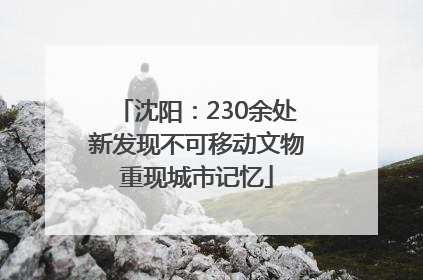 沈阳：230余处新发现不可移动文物重现城市记忆