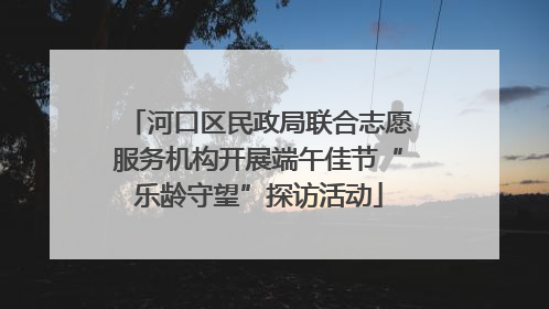 河口区民政局联合志愿服务机构开展端午佳节“乐龄守望”探访活动