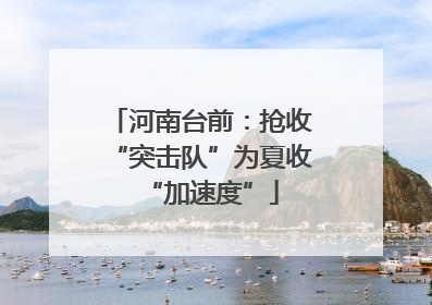 河南台前：抢收“突击队”为夏收“加速度”