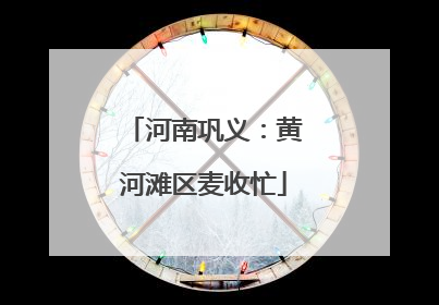 河南巩义：黄河滩区麦收忙