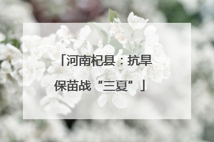 河南杞县：抗旱保苗战“三夏”