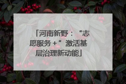 河南新野：“志愿服务＋”激活基层治理新动能