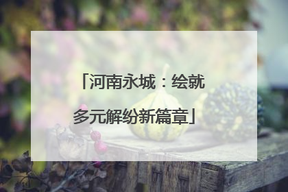 河南永城：绘就多元解纷新篇章