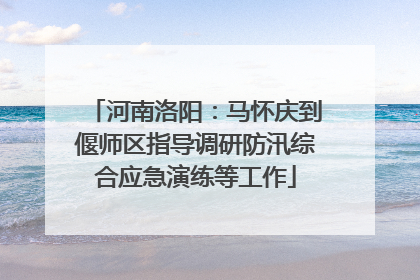 河南洛阳：马怀庆到偃师区指导调研防汛综合应急演练等工作