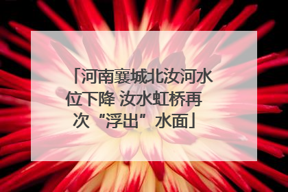 河南襄城北汝河水位下降 汝水虹桥再次“浮出”水面