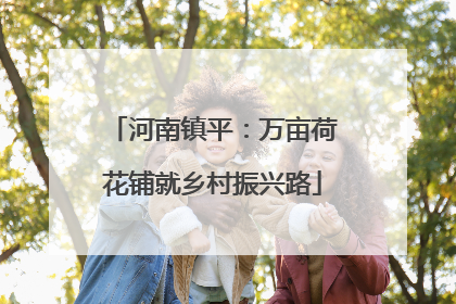 河南镇平：万亩荷花铺就乡村振兴路