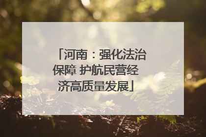 河南：强化法治保障 护航民营经济高质量发展