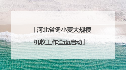 河北省冬小麦大规模机收工作全面启动