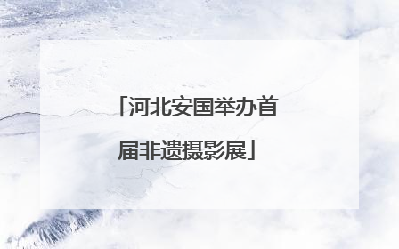 河北安国举办首届非遗摄影展