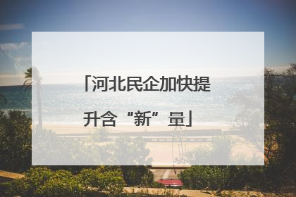 河北民企加快提升含“新”量